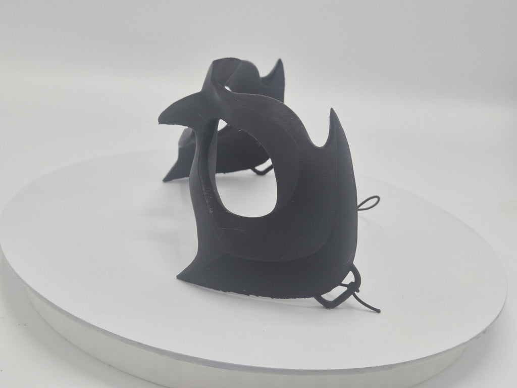 Superhero Sidekick 3D Printed Masks  – Cosplay Mask for Robyn / Night-Wing