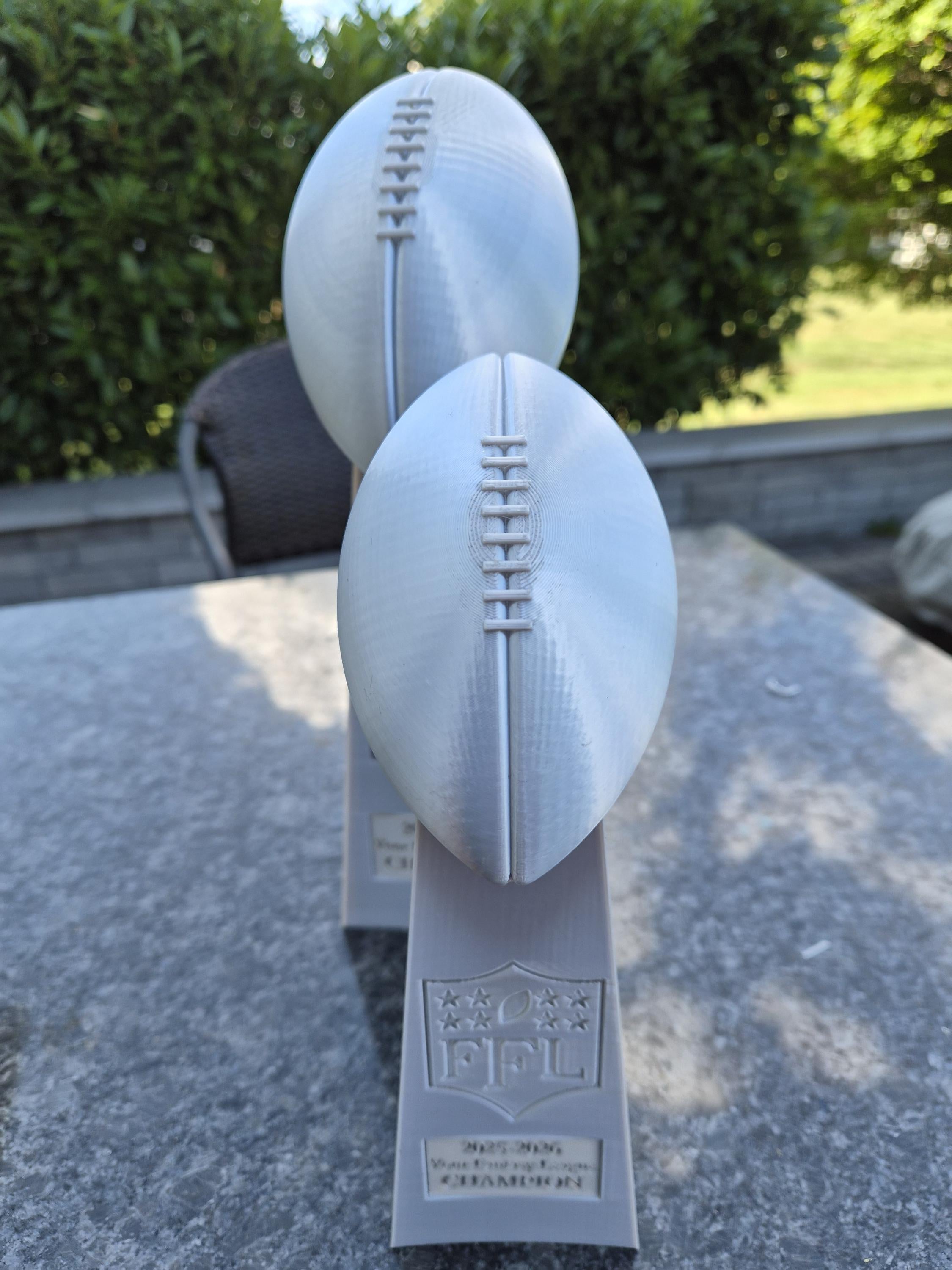 Fantasy Football 3D-Printed Trophy with Custom Winner / Year Insert