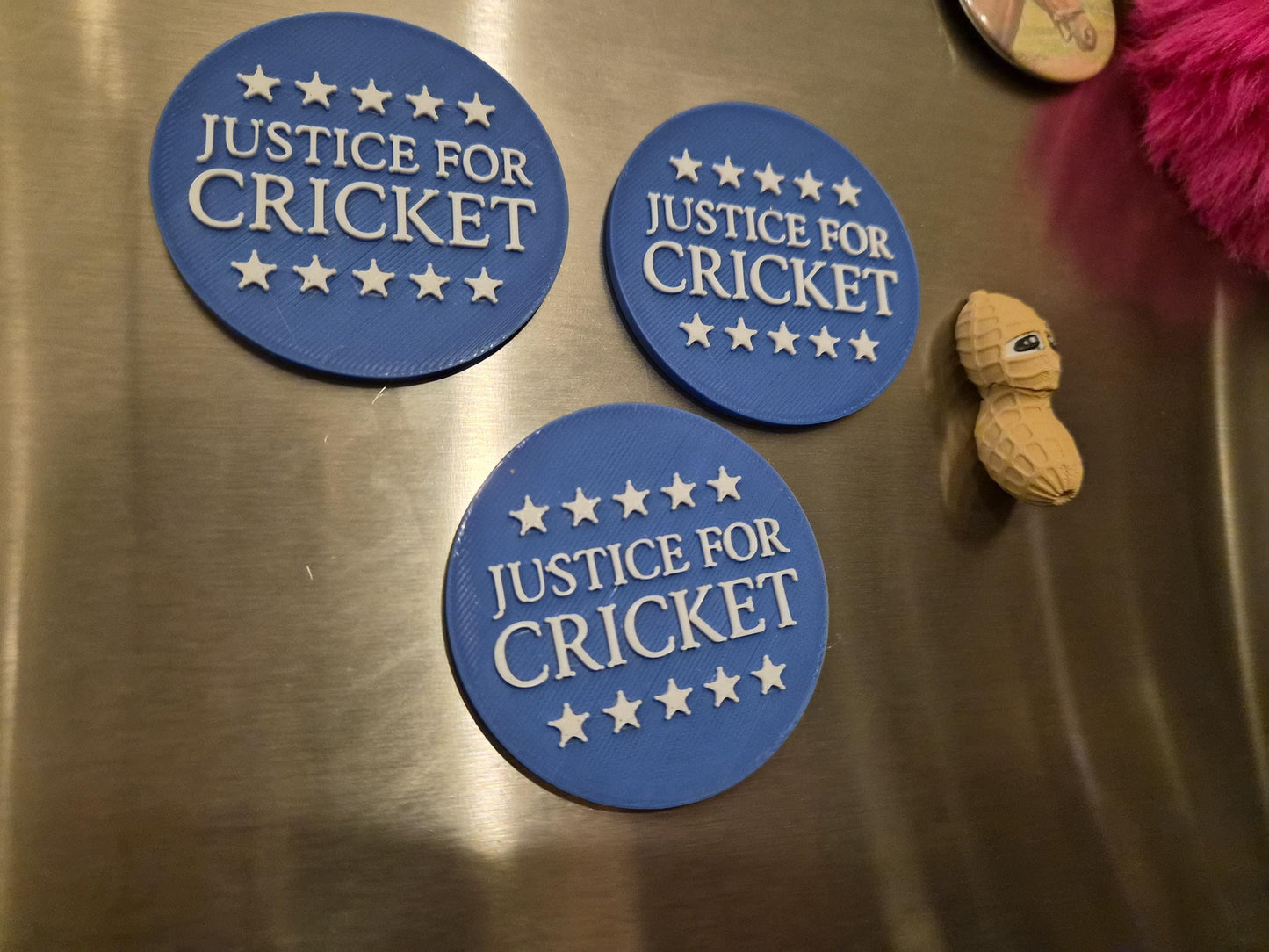 Justice for Cricket Refrigerator Magnets - Whimsical Political Fridge Magnets!