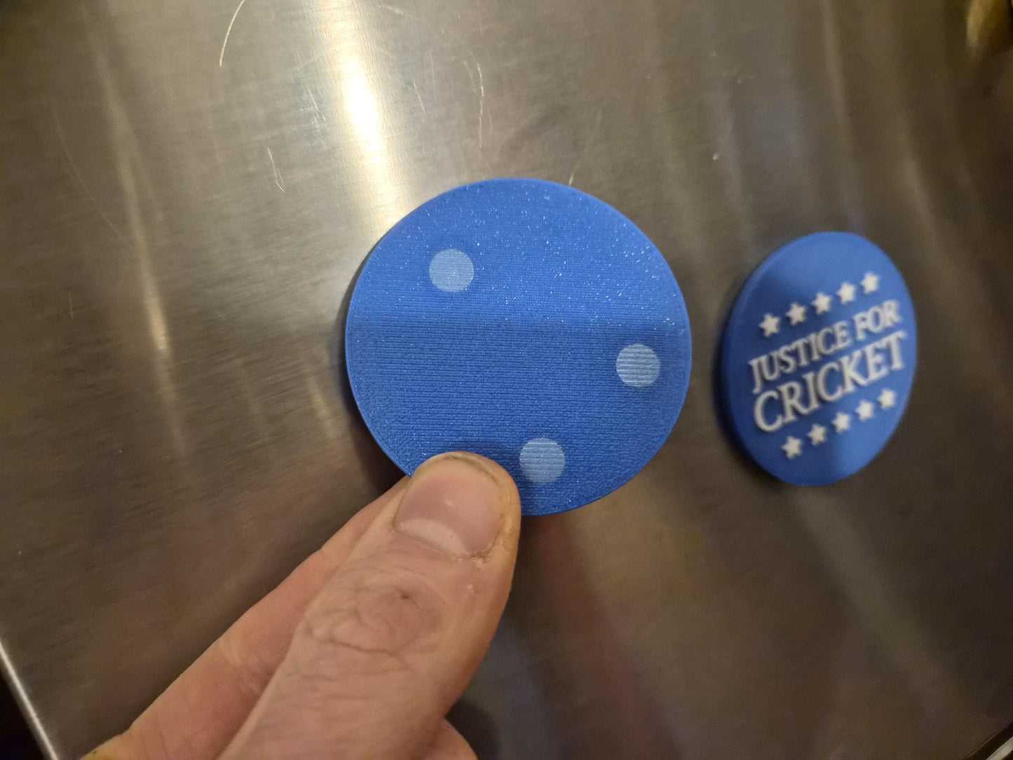 Justice for Cricket Refrigerator Magnets - Whimsical Political Fridge Magnets!