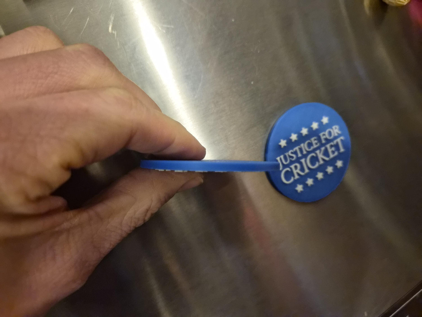 Justice for Cricket Refrigerator Magnets - Whimsical Political Fridge Magnets!