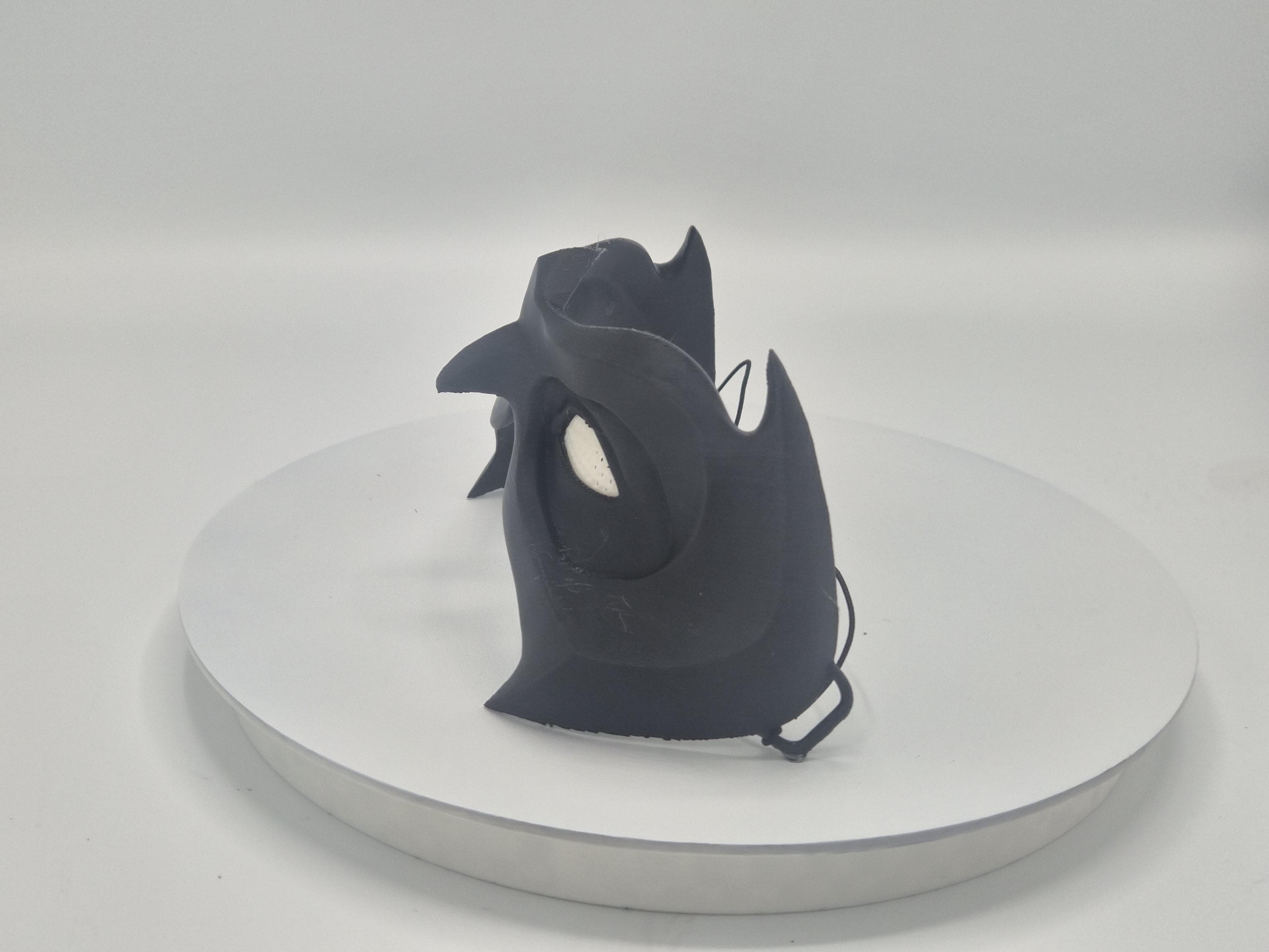 Superhero Sidekick 3D Printed Masks  – Cosplay Mask for Robyn / Night-Wing